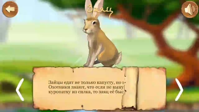 Животные леса для детей. Развивающий мультик смотреть онлайн