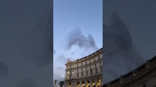 ? Точность и синхронность движений