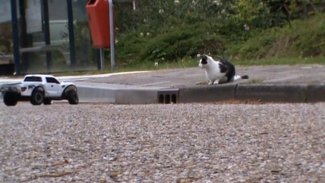 Traxxas Ford F150 RAPTOR SVT 2wd rc car смотреть онлайн