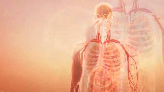 САМБО&ШТАНГА: как совместить (практика, теория); часть 5 смотреть онлайн