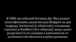 ЦВЕТЫ ШАФРАН (все о шафране)