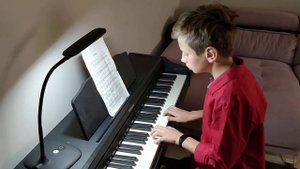 F. Chopin Prelude, Op.28, No. 4   Шопен Прелюдия,  Сочинение.28 № 4