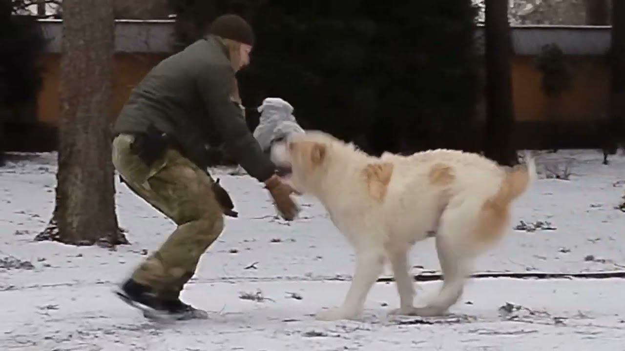 Друзья навек смотреть онлайн