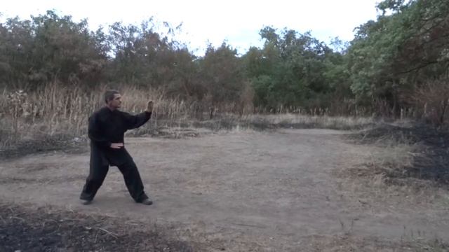 синъи цюань, шиэрсин . xingyi quan, shier xing 形 意 拳，十二 形