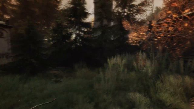 Прохождение The Vanishing of Ethan Carter 3 Ворон