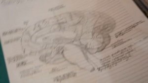 Как я веду конспекты || Оформление конспектов || Мои конспекты