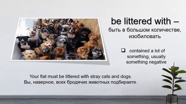 Топ-12 Фразовых глаголов английского языка. Описание людей и местности. смотреть онлайн