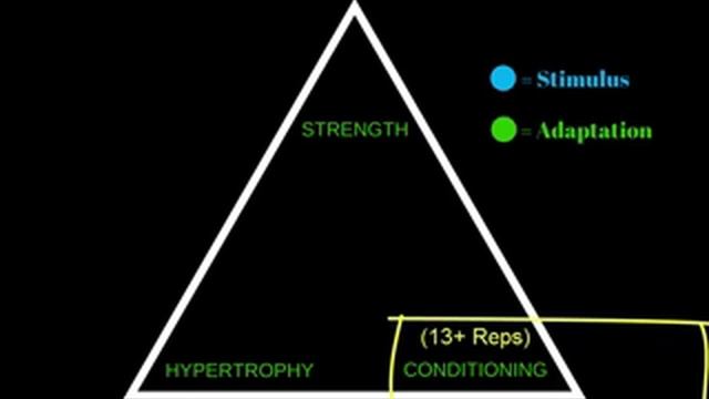 ARX Academy | The Adaptive Triangle™ смотреть онлайн
