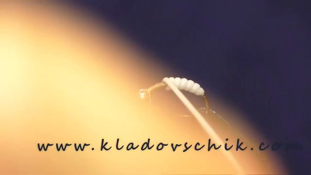 Мушка "Опарыш" смотреть онлайн