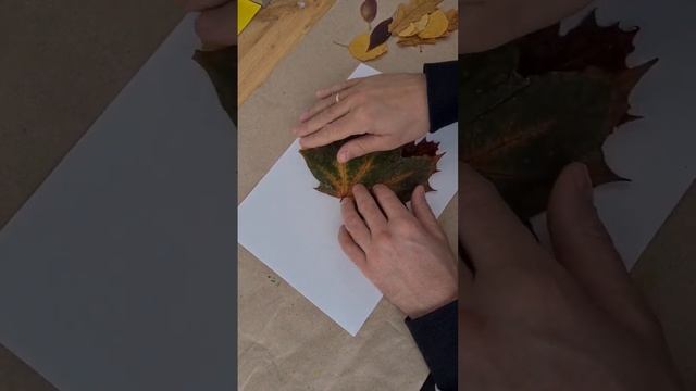 Ежик из осенних листьев смотреть онлайн