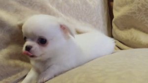 Мальчик 1 д р 2 10 2019