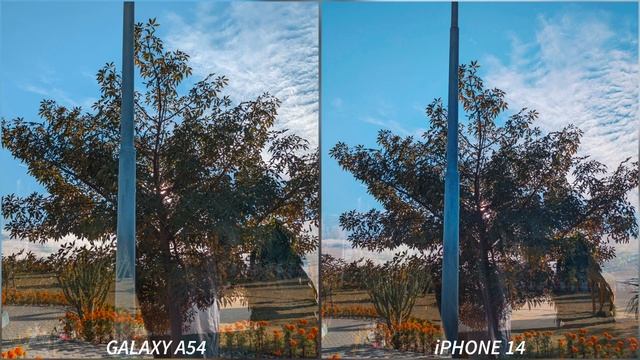 Samsung Galaxy A54 vs iPhone 14 Camera Test смотреть онлайн