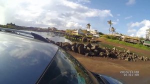 Остров Пасхи часть 1