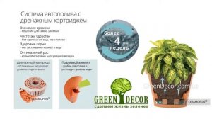 Горшок для цветов с автополивом LATINA