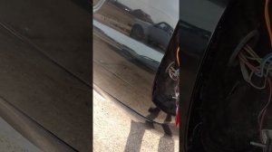 Приора ошибка Р0504 выключатель А/В стоп сигналов