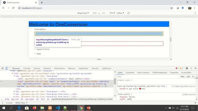 Angular 9 Tutorial For Beginners #43 - Validations in Template Driven Forms