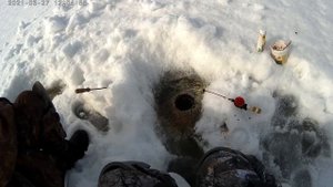 Сугояк 2, 27 марта 2021 | Хороший карась