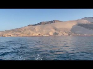 Остров, на который хотелось бы вернуться снова. Сокотра, до новой встречи!