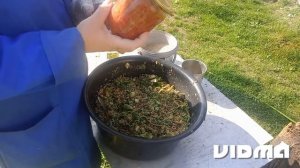 Чем кормлю своих курёшек во время линьки.