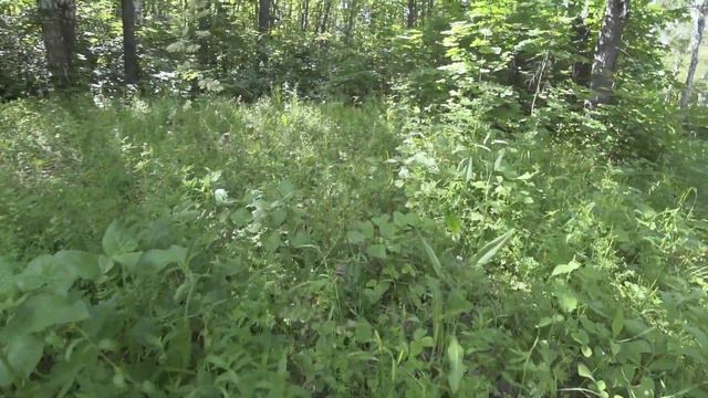 Чем дальше, тем больше хочется видеть ЭТО смотреть онлайн