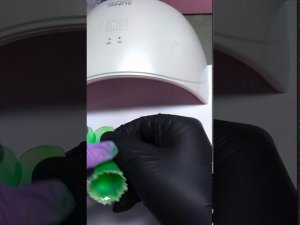 Нарцисс Авалон (без пайки) 4