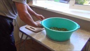 Обзор дегидратора RAWMID MODERN RMD 10