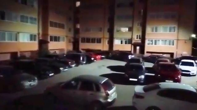 В Агрызе во дворе многоэтажки был замечен лось смотреть онлайн