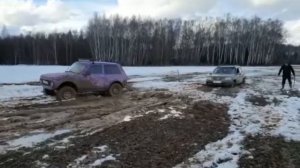 Порвали ниву