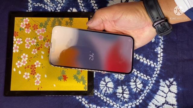 У КАПИТАНА МИЛИЦИИ НОВЫЙ IPHONE 13 PRO MAX #капитан #sapar #япония #iphone #блогер #атбаши #кыргыз смотреть онлайн