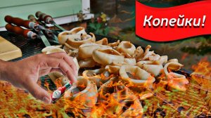Шашлык из Кальмаров На Углях. Кальмар На Шампурах. Копейки!