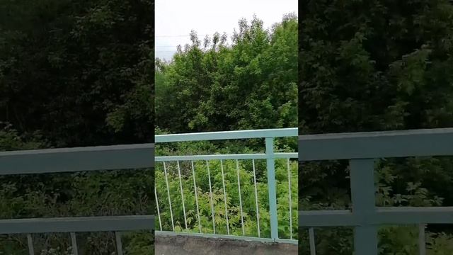 Гаврилов Посад