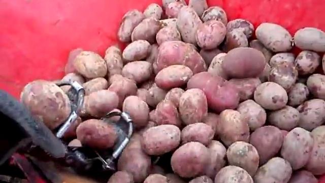 Посадка картофеля мтз 132н 09 04 16г смотреть онлайн