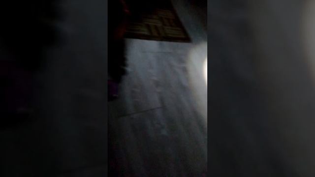 Маша милаша ужастик Cartoon Cat призыв первая часть