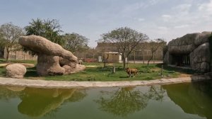 SAFARI PARK DUBAI. Зоопарк Дубай. Март 2024 г.