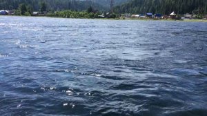 Артыбаш. Телецкое озеро. Горный Алтай