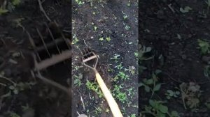 Как работает ручной культиватор!