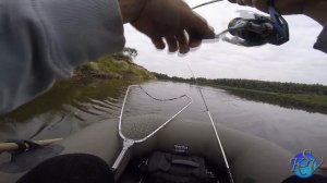 Рыбалка на Десне. Спиннинговая ловля.