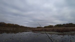 Рыбалка ни хищника с TsuYoki Rodger 106F