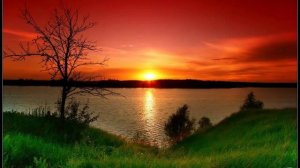 Стас  Михайлов " Нежданная любовь"