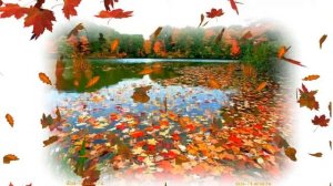 ФУТАЖ , ОСЕНЬ  *** Лист кружится ***