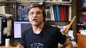 Благоустройство или биоразнообразие?