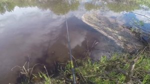 Рыбалка летом на реке Ватома, видео rybachil.ru