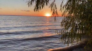 Отдых с палатками на берегу реки всей семьей и друзьями 25.06.2022 - 26.06.2022