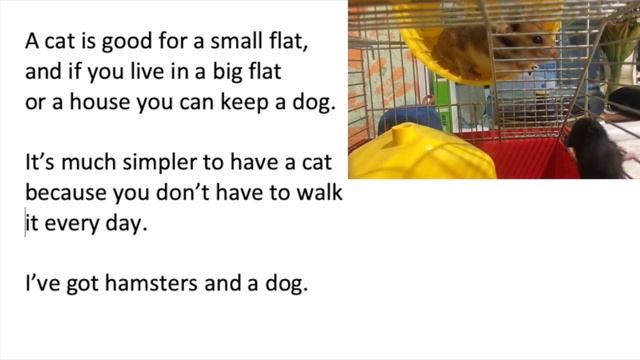 Topic My pet. Сочинение о домашнем питомце на английском. Уроки английского языка. смотреть онлайн