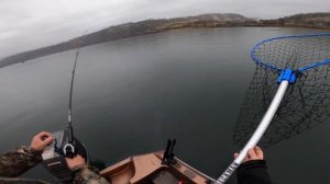КИЖУЧ (COHO SALMON ) КАК ЛОВИТЬ ЛОСОСЯ ТРОЛЛИНГОМ