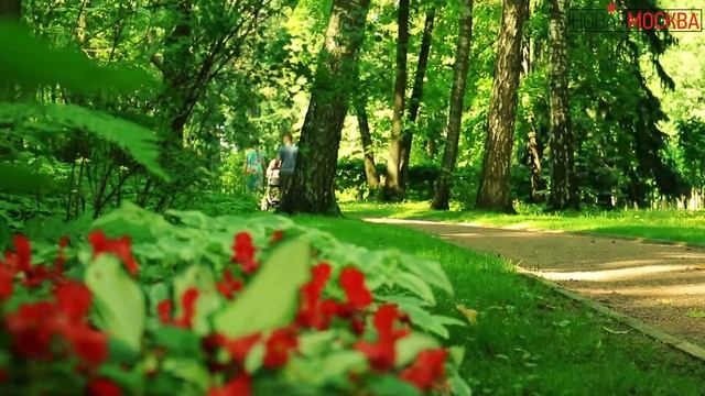 Лето в Остафьево смотреть онлайн