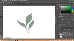 How To Draw : Realistic Leaves // Photoshop