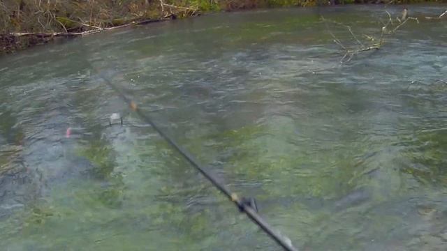 Рыбалка. Спиннинг. Ручьевая Форель. смотреть онлайн