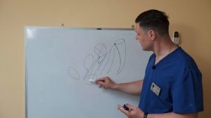 Промонтофиксация или сакровагинопексия – "универсальная и наилучшая" операция?