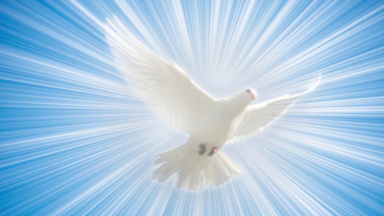Изображение святого духа в виде голубя